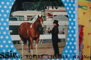 MISSING EQUINE CHASSEY WA Near Butler Hillls, WA, 98273